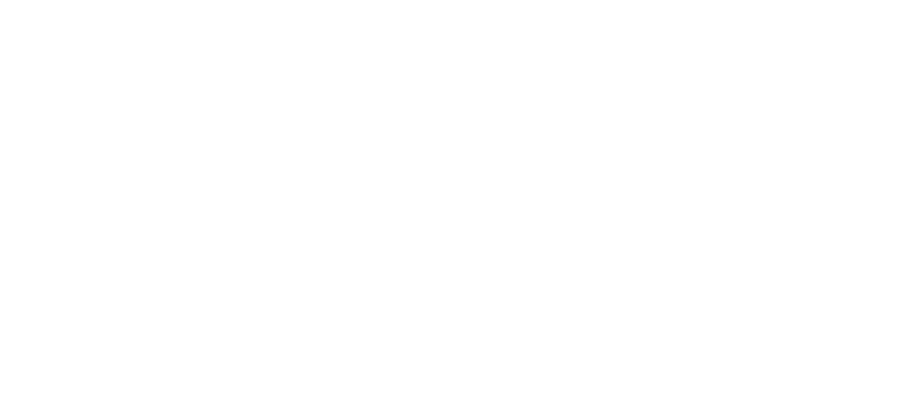 Logo NRV